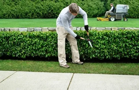 Why a Landscape Company Should Handle Your Yard Leveling Work