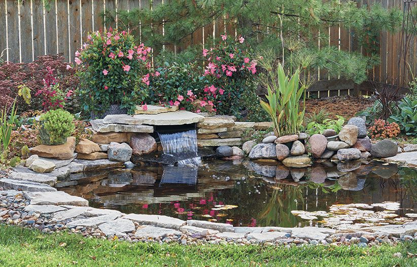 Restore the Beauty and Health of Your Garden Pond